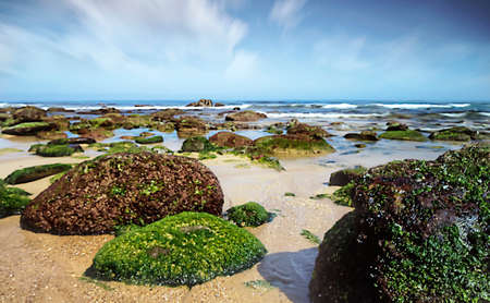 Seascape with rocks on the shore and clear sky