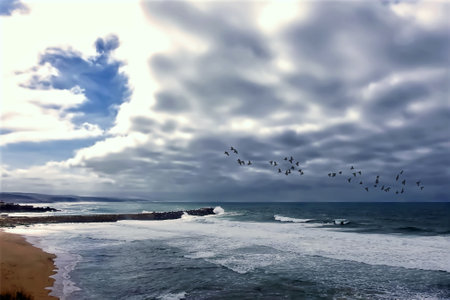 Seascape predicting a storm with a flock of birds in flightの写真素材