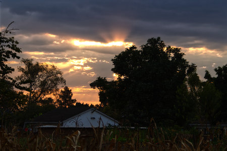 African rural landscape at sunsetの写真素材