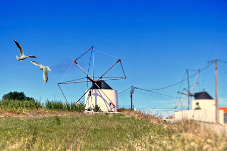 Rural landscape with a windmill on a hillの写真素材