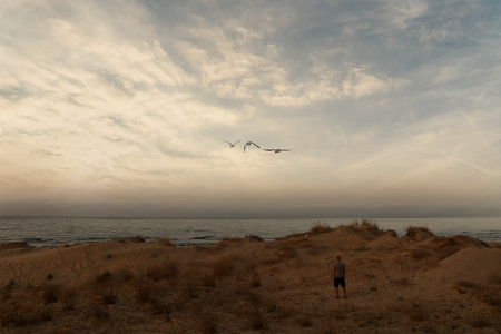 Silhouette of a man with a seagull on the beachの写真素材