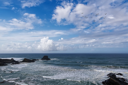 Beautiful seascape with seagulls flying over the oceanの写真素材
