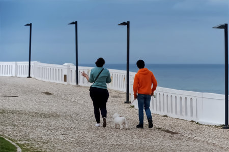 Couple walking with dog on the beach.の写真素材