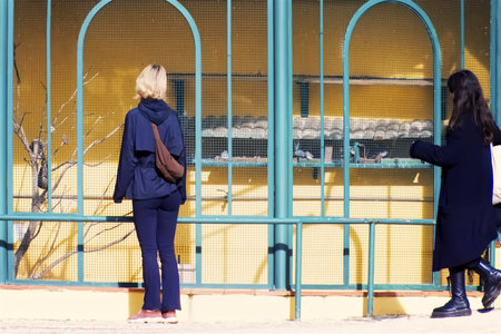 A young woman is waiting for a train at the train station.の写真素材