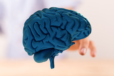 Human Brain: 3D Model of Neurological System