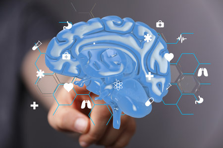 Interactive 3D Brain Model: Healthcare & Neurology