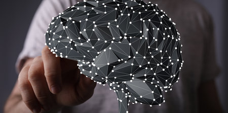 Human Brain Network: Abstract Polygonal Modelの写真素材