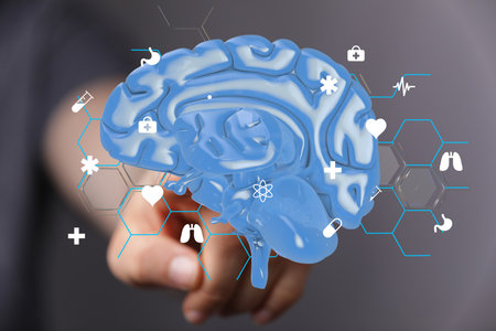 Human Brain: Healthcare, Medicine, and Neurology