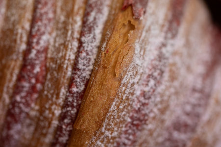 Delicious baked pastry, flaky layers, powdered sugar, reddish glaze, macro shotの写真素材
