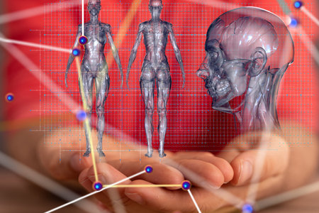 Human Anatomy: 3D Model in Hands, Network Conceptの写真素材