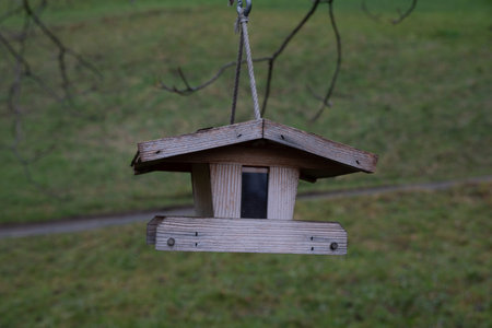 Rustic Wooden Bird Feeder Hanging Outdoors
