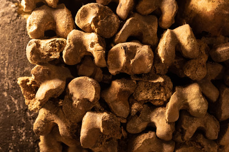 Ancient Human Bones Texture Background