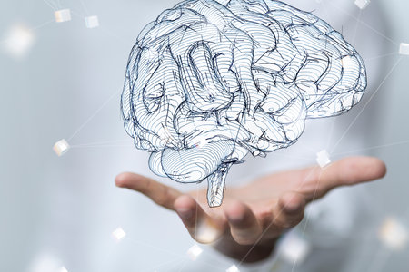 brain
