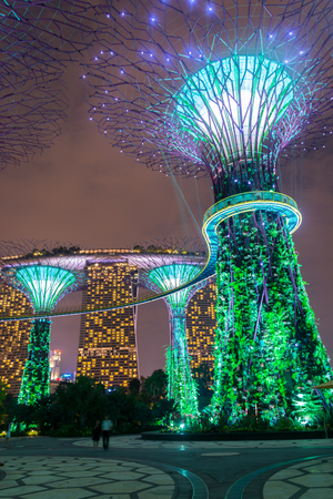SINGAPORE -APRIL 11: Night view of Super tree Grove at Gardens by the Bay on April 11, 2014 in Singapore.のeditorial素材