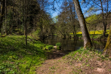 A hike in Altensteig, in the northern black forrest in the early springの写真素材