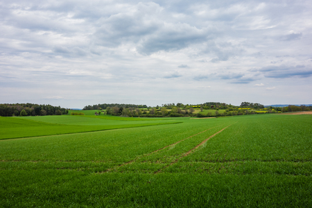 Hiking trip in Ostelsheim, in the black forrest on a cloudy day in early springの写真素材