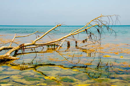 Still nature at the Cape of Rodon, DurrÃ«s Albaniaの写真素材