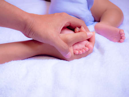 Baby feet in Parents hand. Family is love for Baby concept.の写真素材
