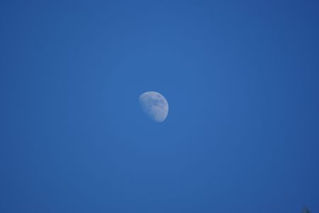 moon on the blue sky                 の写真素材