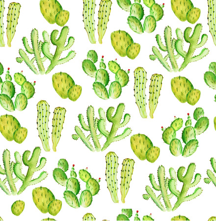 watercolor cactus seamless pattern on the white backgroundの写真素材