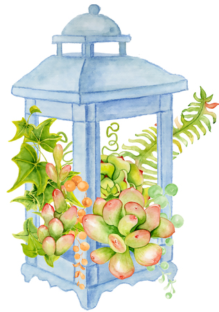 Succulent and fern bouquet in the blue lantern. Boho style for your design. Wedding invitation, Valentines Day cards, ectの写真素材