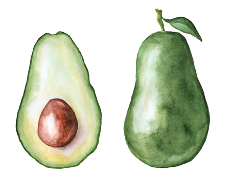 avocado slice watercolor hand drawn illustration, tropical exotic fruit isolated on the white backgroundの写真素材