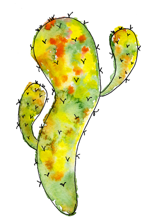 Watercolor cactus isolated on white background, Abstract hand drawn cactiの写真素材