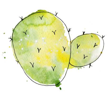 Watercolor cactus isolated on white background, Abstract hand drawn cactiの写真素材