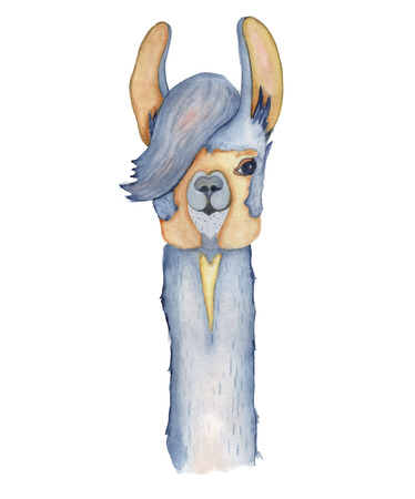 Cute Llama cartoon character watercolor illustration, Alpaca animal, hand drawn style.  Isolated white background. Good for greeting cards, invitations, decoration, etc.の写真素材