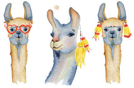 Cute Llama cartoon characters set watercolor illustration, Alpaca animals, hand drawn style.  Isolated white background. Good for greeting cards, invitations, decoration, etc.の写真素材