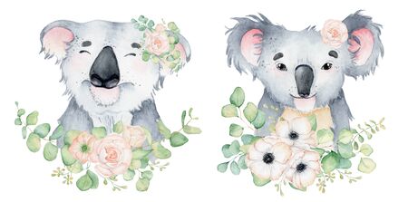Koala bear cute animal character watercolor hand drawn illustrationの写真素材