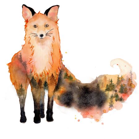 Watercolor fox with double exposure effect Animal illustration isolated on white background. Hand drawnの写真素材