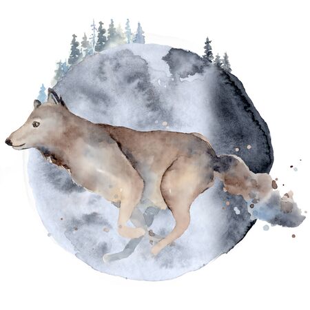Watercolor wolf  Animal composition Hand drawn illustration isolated on white background