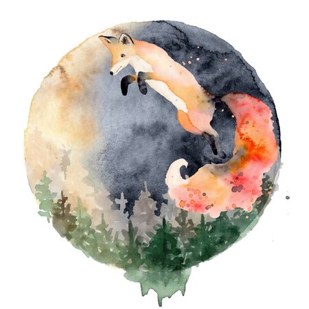Watercolor fox  Animal illustration isolated on white background. Hand drawnの写真素材