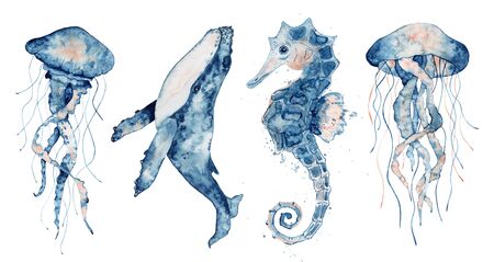 Set of sea animals. Blue watercolor ocean fish, Medusa, whale, seahorseの写真素材