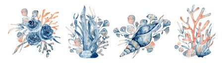 Watercolor underwater floral bouquet with corals and shells, hand drawn marine illustrationの写真素材
