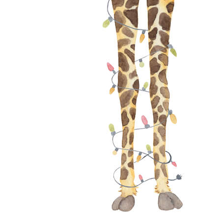 Giraffe legs with garland decoration, Animal party watercolor hand drawn illustration isolated on the white backgroundの写真素材