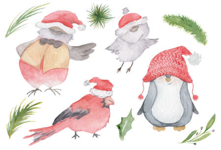 Watercolor Christmas birds set with cardinal, Sparrow, penguin in Santa hats   hand drawn illustration isolatedの写真素材