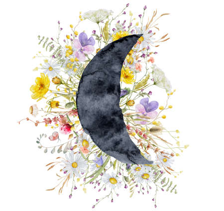 Wild flowers watercolor frame botanical hand drawn illustrationの写真素材