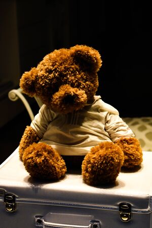 Teddy bear in a stained glass window on a suitcase