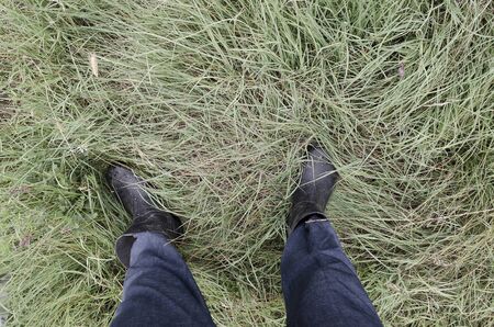 Close up of dirty and wet boots on the green grassの写真素材