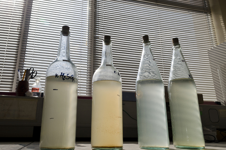 Test water samples in the laboratory of water treatment plantの写真素材