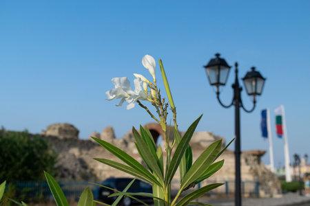 Early in the Morning on the beach in Nessebar resort in Bulgariaの写真素材