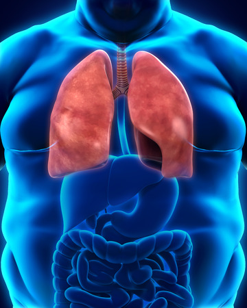 Respiratory System of Overweight Bodyの写真素材