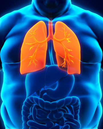 Respiratory System of Overweight Bodyの写真素材
