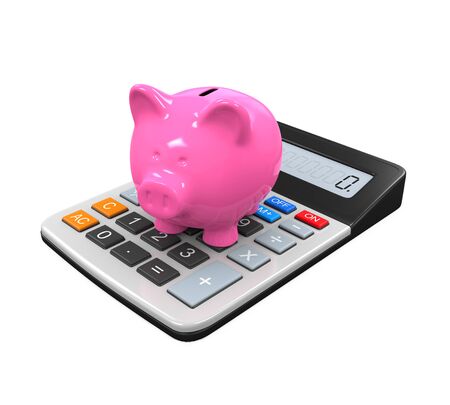 Piggy Bank and Money Coinの写真素材