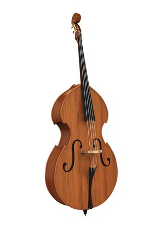 Double Bass Isolatedの写真素材