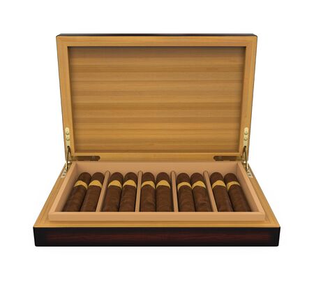Cigars in the Humidor Isolatedの写真素材