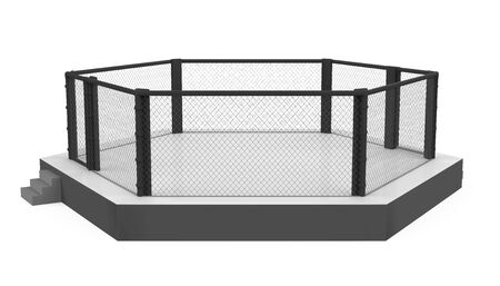 MMA Fight Cage Arena Isolatedの写真素材