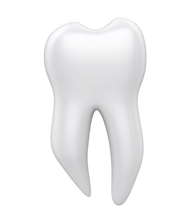 Molar Tooth Isolatedの写真素材